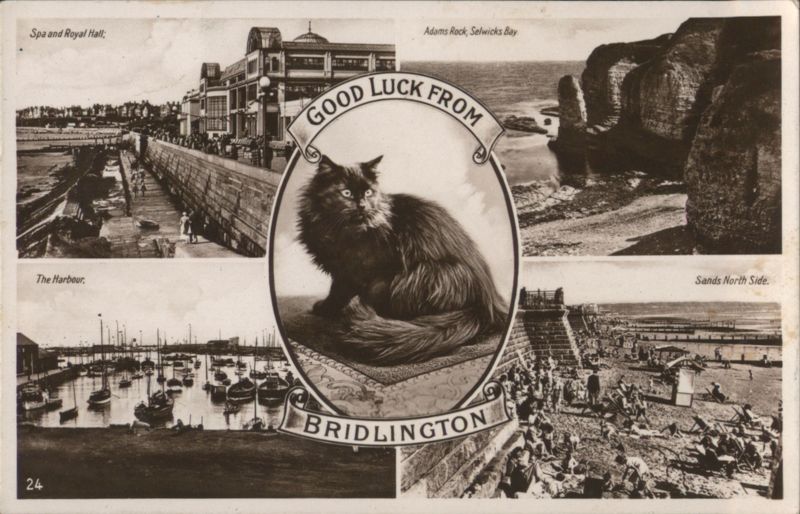 Good Luck Cat and Bridlington Scenes: Spa, Harbour, Adams Rock, Sands United Kingdom