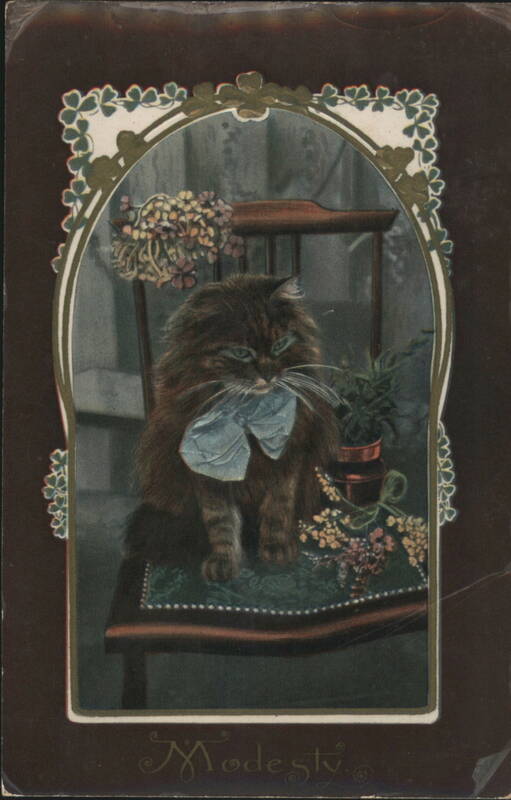 Fluffy Brown Cat with Blue Bow on Chair, Modesty Cats