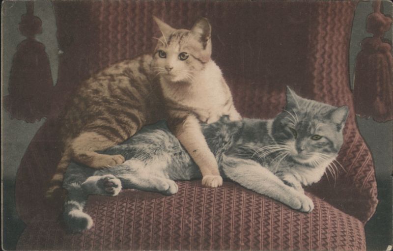 Two Tabby Cats on Upholstered Chair