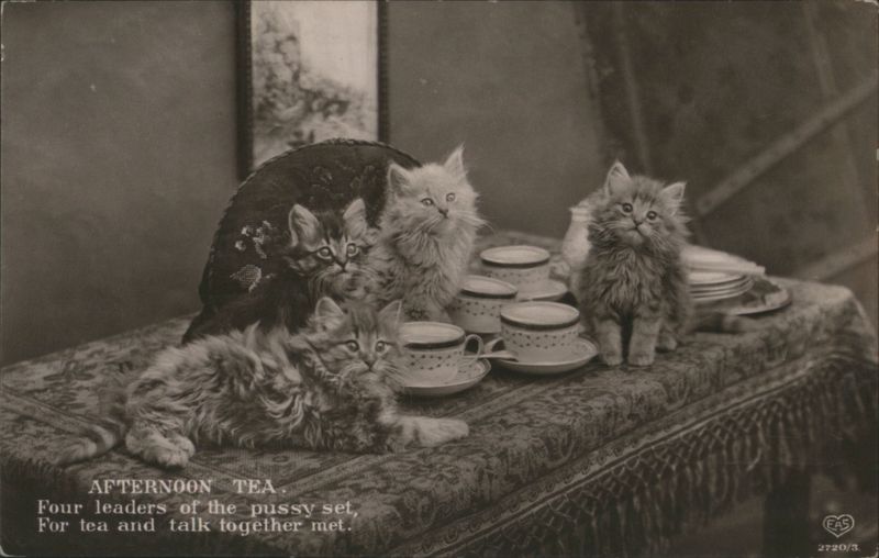 Four Fluffy Kittens at Afternoon Tea Cats