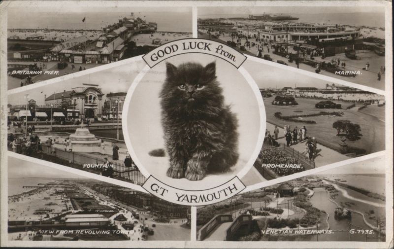 Good Luck From Great Yarmouth Kitten & Town Views Norfolk United Kingdom