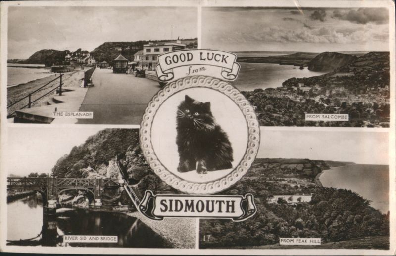 Sidmouth UK Coastal Views with Black Cat Good Luck Message United Kingdom