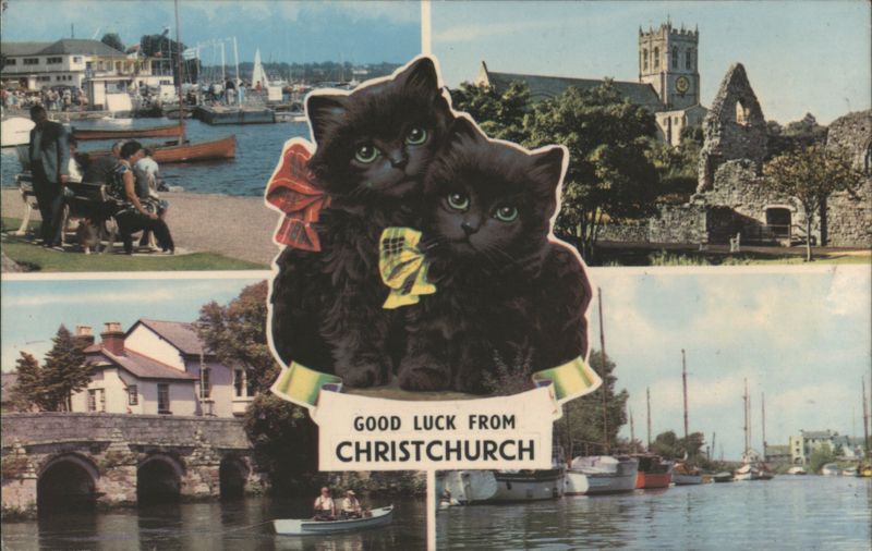 Black Kittens with Green Eyes, Good Luck from Christchurch Collage United Kingdom