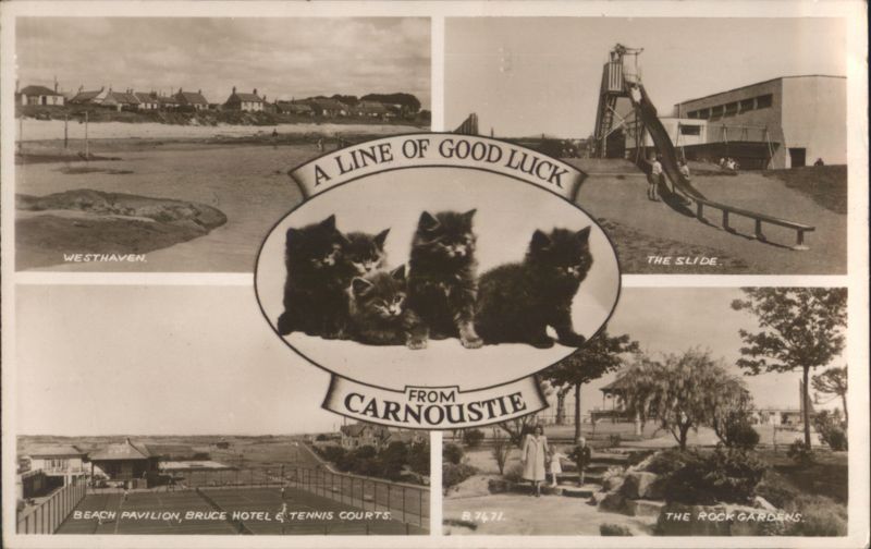 Kittens & Carnoustie Views: Westhaven, The Slide, Beach Pavilion, Rock Gardens Scotland
