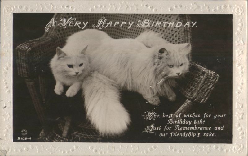 Two White Cats on Wicker Chair, Happy Birthday Greeting