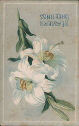 Easter Greetings with White Lilies Postcard