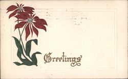 Red Poinsettia Flowers with 'Greetings' Script Postcard