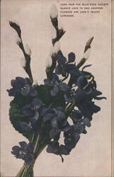 Blue-Eyed Violets and Pussy Willows Bouquet, Love's Truest Language Postcard