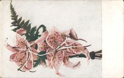 Pink Speckled Lilies and Ferns Bouquet Illustration Postcard