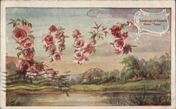 Roses, Language of Flowers: Love, Landscape Postcard