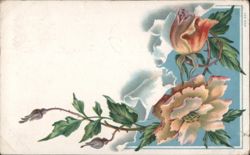 Roses and Buds Floral Corner Design Postcard