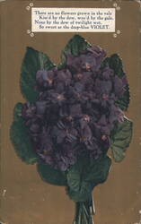 Deep-Blue Violets with Poetic Verse 'So sweet as the deep-blue VIOLET' Postcard
