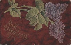 Purple Lilac Flowers with Green Leaves and Best Wishes Greeting Postcard