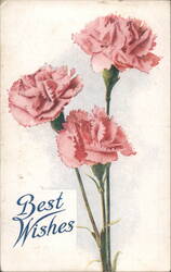 Three Pink Carnations with Best Wishes Greeting Postcard