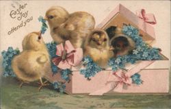 Easter Joy Attend You - Four Chicks in Pink Box with Forget-Me-Nots Postcard
