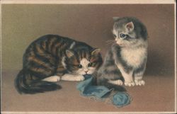 Two Kittens Playing with Yarn and Fabric Postcard
