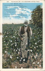 Old Black Joe in a Southern Cotton Field with Poem Postcard