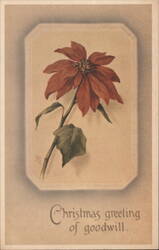 Poinsettia Flower Christmas Greeting of Goodwill Postcard