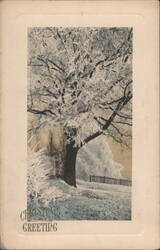 Snow-Covered Tree in Winter Landscape, Christmas Greeting Postcard