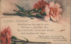 A Joyful Birthday and New Year with Pink and Red Carnations Postcard