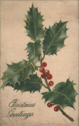 Christmas Greetings with Holly and Berries Postcard
