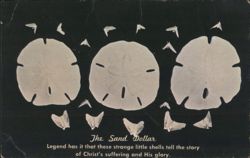The Sand Dollar - Legend of Christ's Suffering and Glory Postcard