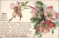 May Birthstone Emerald, Wild Rose Flower, Birth Month Traits Postcard