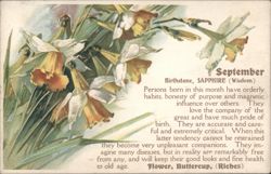 September Birthstone Sapphire & Buttercup Flower with Daffodils Postcard