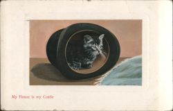 Tabby Kitten in a Black Top Hat - "My House is my Castle" Postcard