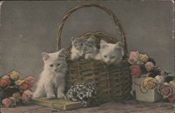Three Kittens in Basket with Flowers, Fine Art Series Postcard