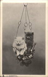 Two Fluffy Kittens in Hanging Basket - A Basketful Postcard