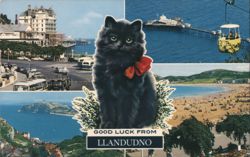 Black Cat with Red Bow on Llandudno Collage View, Good Luck Greeting Postcard