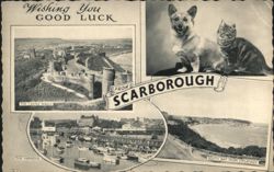Scarborough Multi-View: Dog, Cat, Castle, Harbour, Div Back Postcard