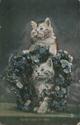 Good Luck Cats in Blue Flower Wreath Postcard