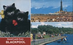 Good Luck from Blackpool, Cats, Tower, Beach, Stanley Park Lake Postcard