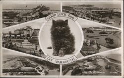 Good Luck From Great Yarmouth Kitten & Town Views Postcard
