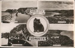 Sidmouth UK Coastal Views with Black Cat Good Luck Message Postcard