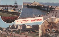 Morecambe Central Pier, Gardens & Promenade with Cat Postcard