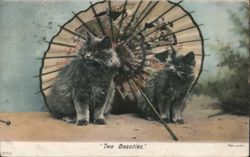 Two Beauties Cats with Asian Parasol Postcard