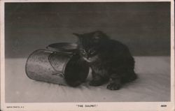 Fluffy Black Kitten with Overturned Pail - The Culprit Postcard