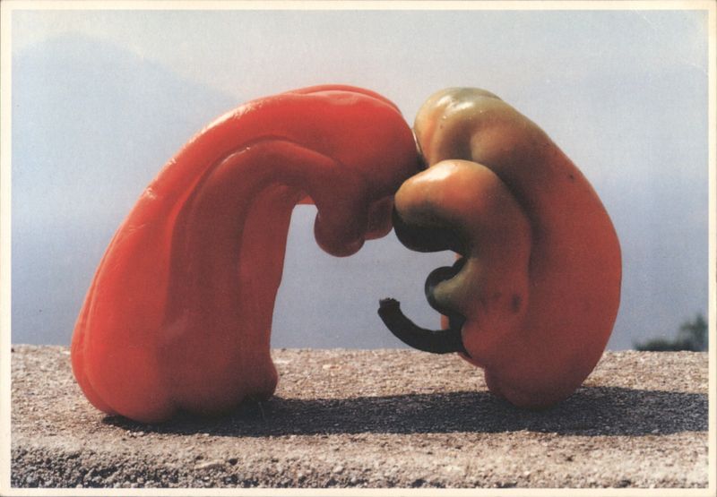 Verliefde paprika's - Two Red Bell Peppers Embracing Netherlands