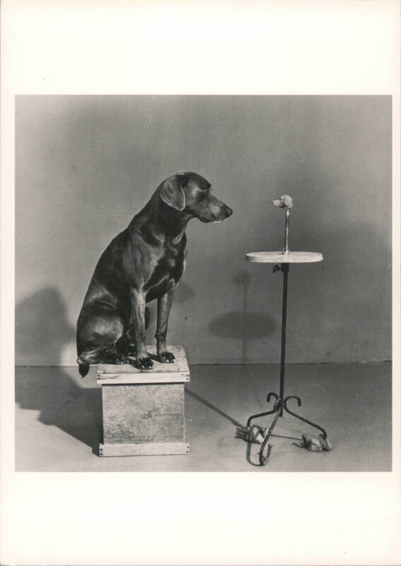 Man Ray Contemplating a Bust of Man Ray, 1978 William Wegman