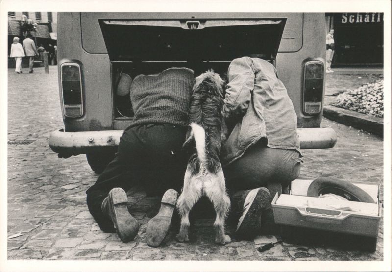 Dog's help: People & dog looking into back of van Martin Langer