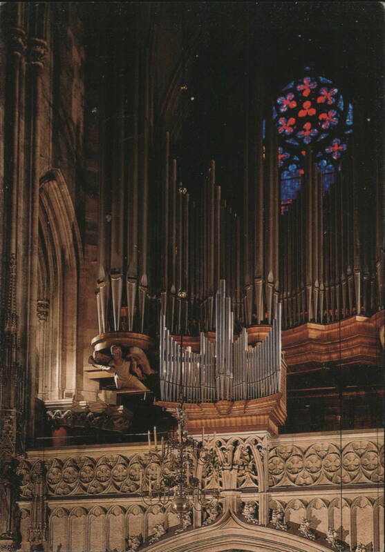 Große Orgel Westempore Stephansdomes Vienna Austria