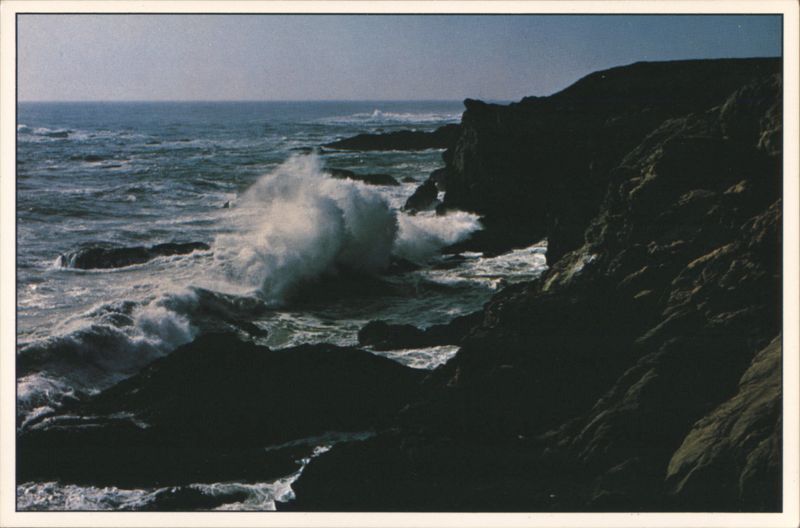 Pacific Coastal Beauty, North of San Francisco California