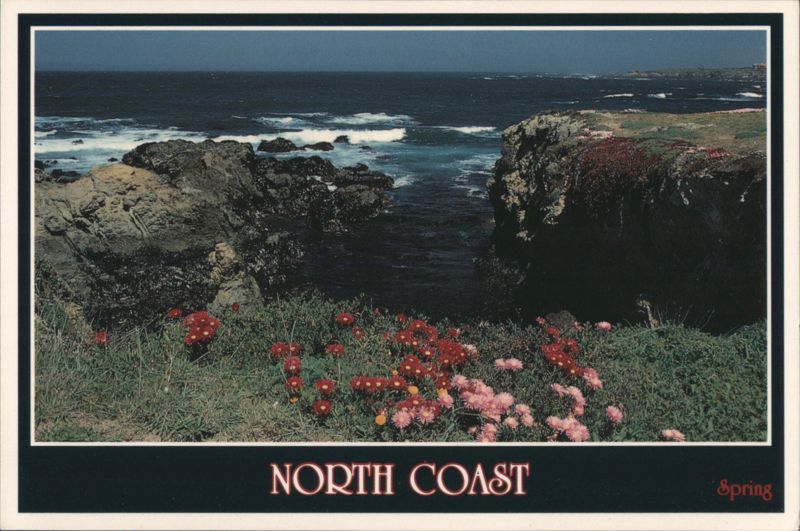 North Coast California with Spring Flowers Fort Bragg