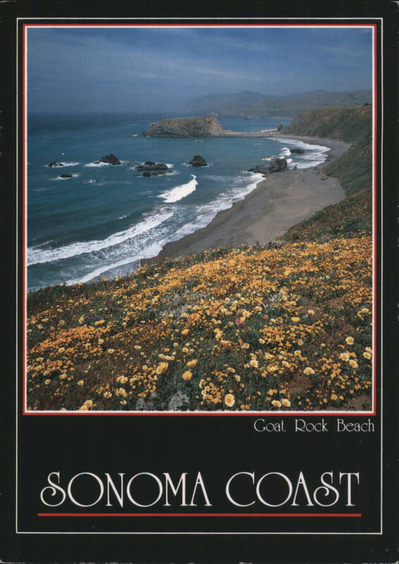 SONOMA COAST Goat Rock Beach California Ed Cooper