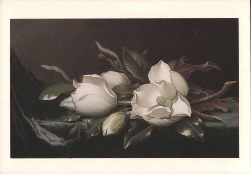 Magnolias, Martin Johnson Heade Painting Still Life