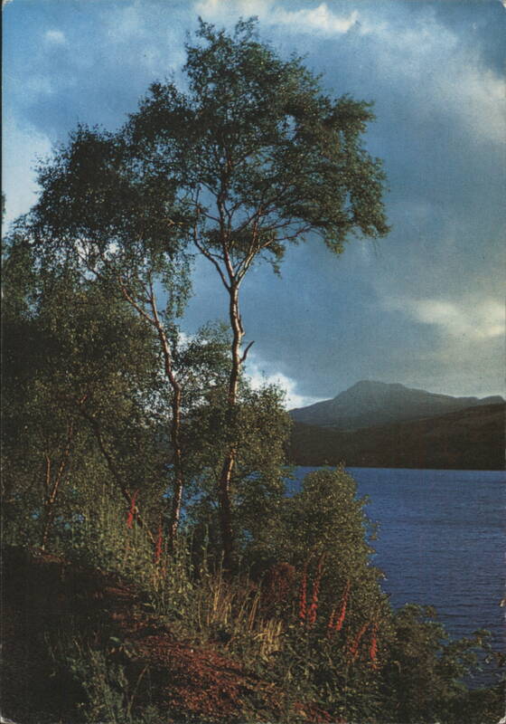 Loch Ness, Mealfuarvonie, Inverness-shire, Scotland