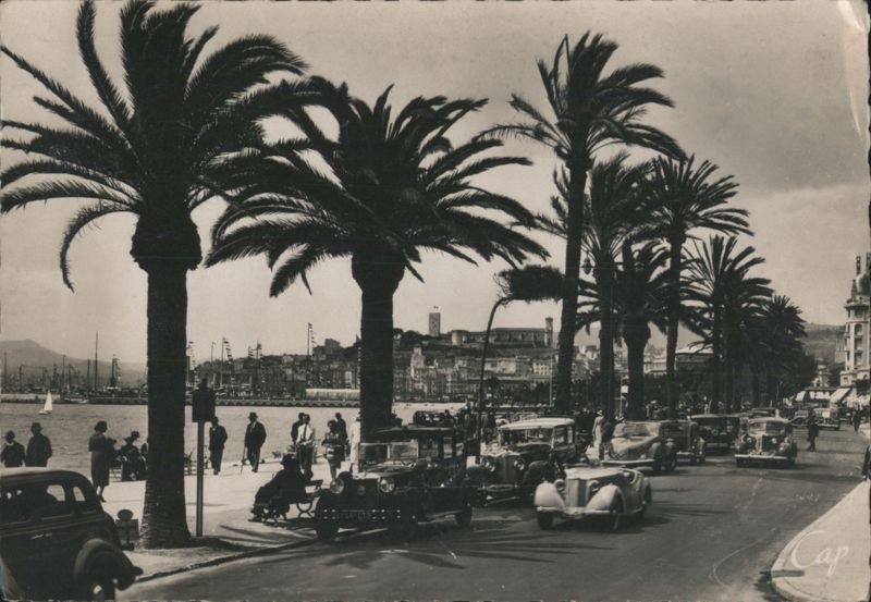 Cannes Promenade de la Croisette Palm Trees Cars France